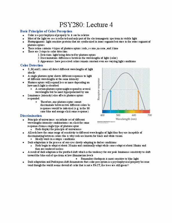 PSY280H1 Lecture Notes - Lecture 4: Retina, Trichromacy, Scotopic Vision thumbnail