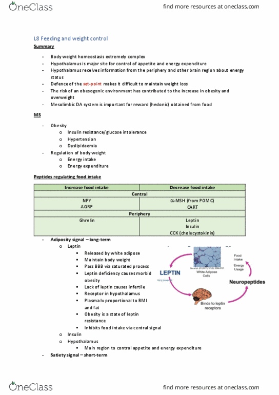 BIOM30001 Lecture Notes - Lecture 8: Peptide Yy, Sleep Deprivation, Mesolimbic Pathway thumbnail