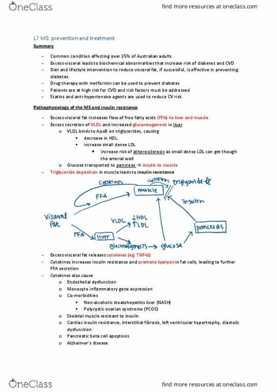 BIOM30001 Lecture Notes - Lecture 7: Endothelial Dysfunction, Steatohepatitis, Incretin thumbnail