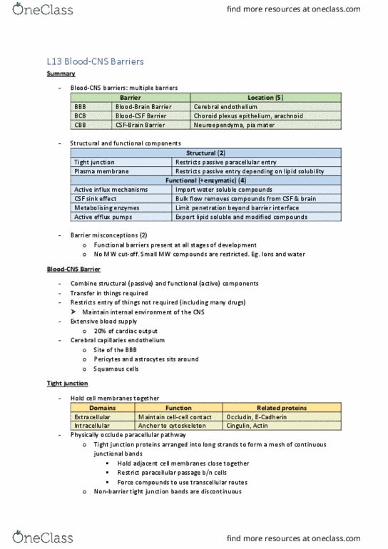 PHRM30002 Lecture Notes - Lecture 13: Astrocyte, Barrier Function, Kernicterus thumbnail