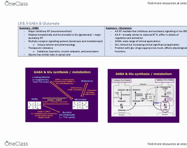 PHRM30002 Lecture Notes - Lecture 8: Analgesic, Hypnotic, Phenobarbital thumbnail