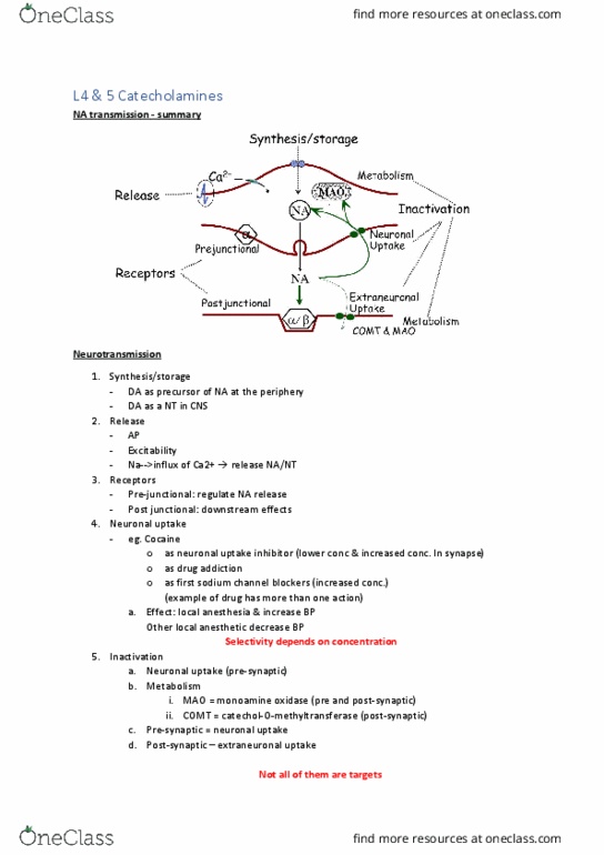 PHRM30002 Lecture Notes - Lecture 4: Mesolimbic Pathway, Catechol-O-Methyl Transferase, Carbidopa thumbnail