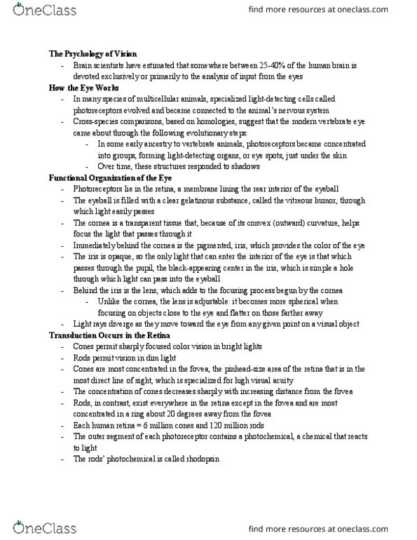 PSYCH 1 Chapter Notes - Chapter 8: Retina, Scotopic Vision, Visual Acuity thumbnail