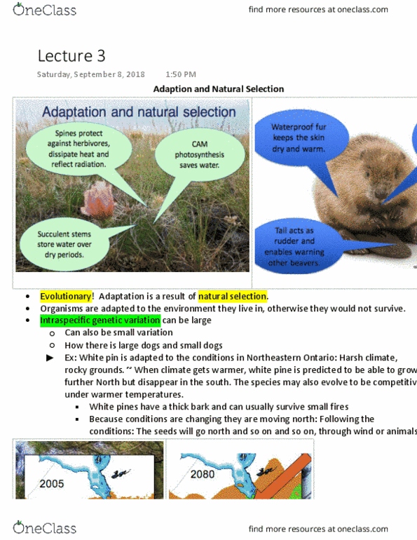 BIOL-2356EL Lecture Notes - Lecture 3: Divergent Evolution, Roadkill, Mycorrhiza thumbnail