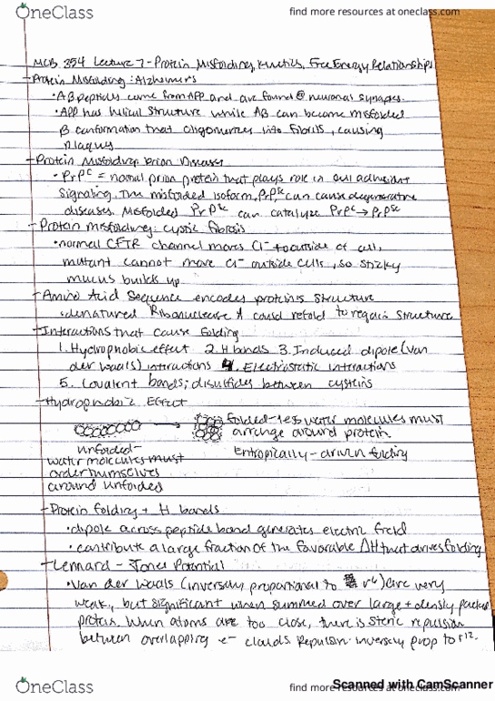 MCB 354 Lecture 7: protein misfolding, alzheimer's, prion, cystic fibrosis, hydrophobic effect, H bonds, lennard-jones potential, ionic interactions, levinthal's paradox, folding funnel thumbnail