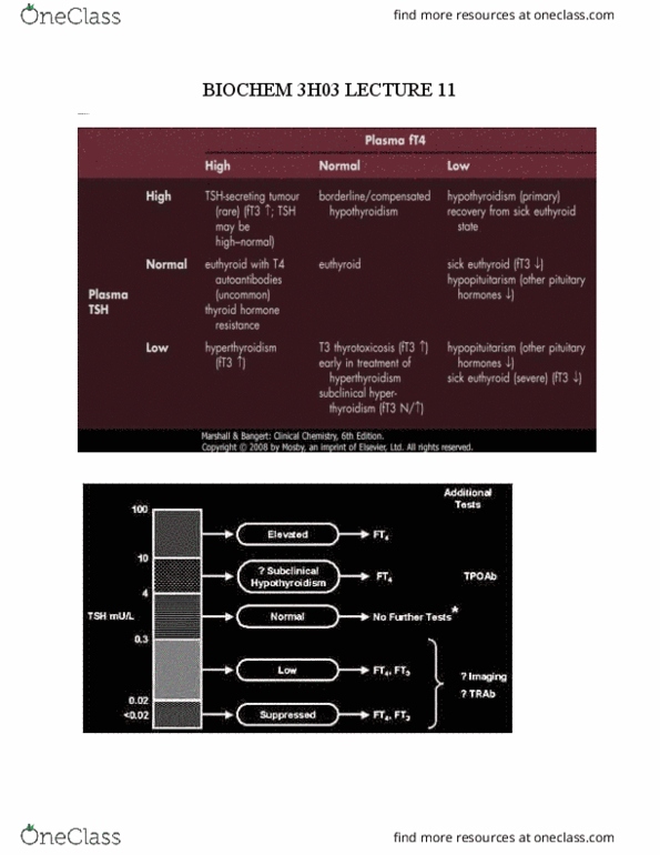 BIOCHEM 3H03 Lecture Notes - Lecture 10: Human Chorionic Gonadotropin thumbnail