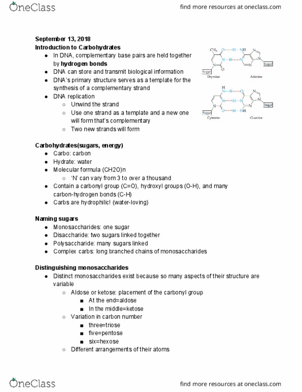 BISC207 Lecture Notes - Lecture 6: Dehydration Reaction, Cell Signaling, Polysaccharide thumbnail