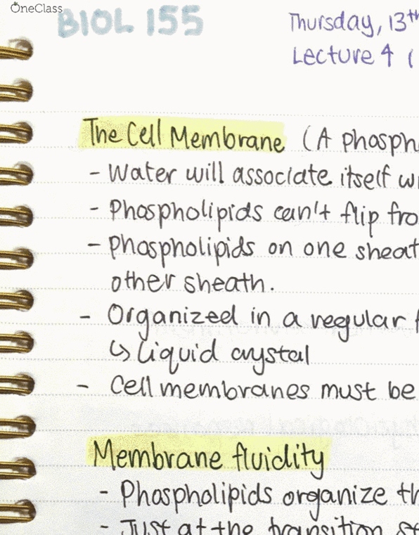 BIOL 155 Lecture 4: BIO 155 - Lecture 4 - Basic Chemistry and Cell Structure cover image