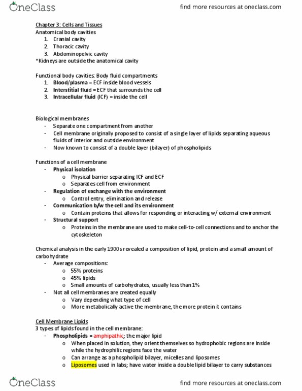 PHSI 208 Lecture Notes - Lecture 2: Abdominopelvic Cavity, Glycoprotein, Extracellular Fluid thumbnail