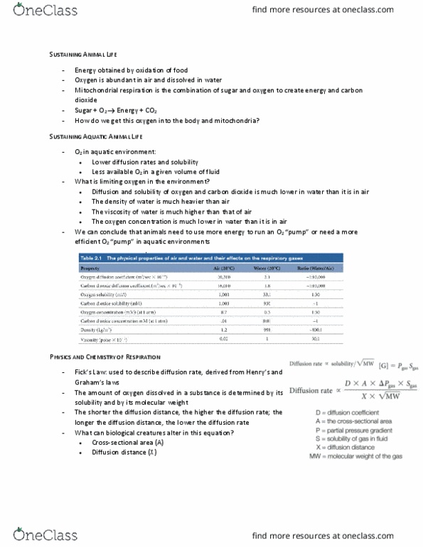 BIO202H5 Lecture Notes - Lecture 2: Partial Pressure, Bronchus, Bronchiole thumbnail