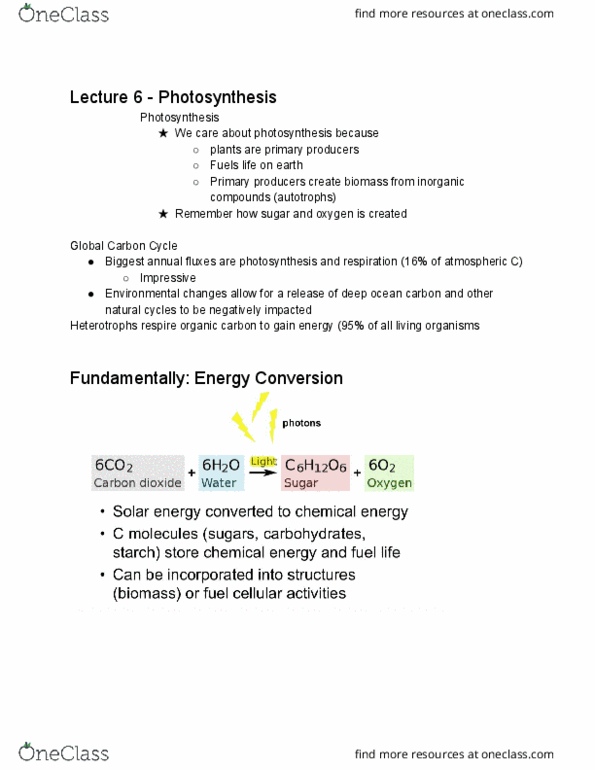 CPSC 112 Lecture Notes - Lecture 6: Radiant Energy, Stoma, Photosynthesis thumbnail