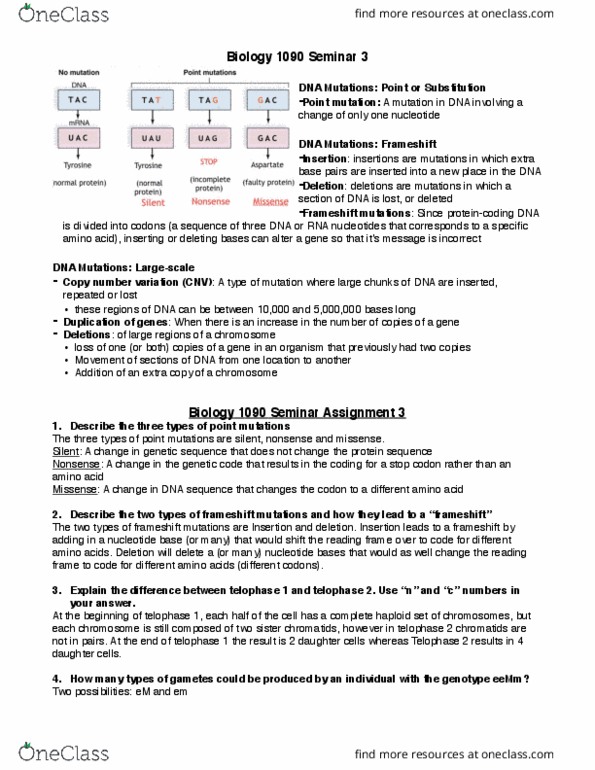 BIOL 1090 Lecture Notes - Lecture 3: Sister Chromatids, Copy-Number Variation, Point Mutation thumbnail