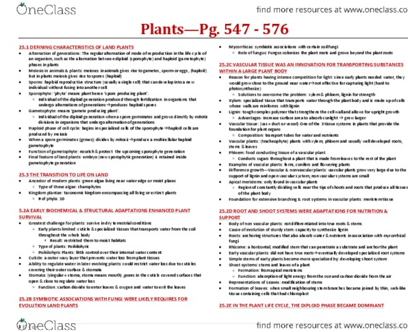 BIOA02H3 Chapter Notes - Chapter 25: Non-Vascular Plant, Vascular Plant, Vascular Tissue thumbnail