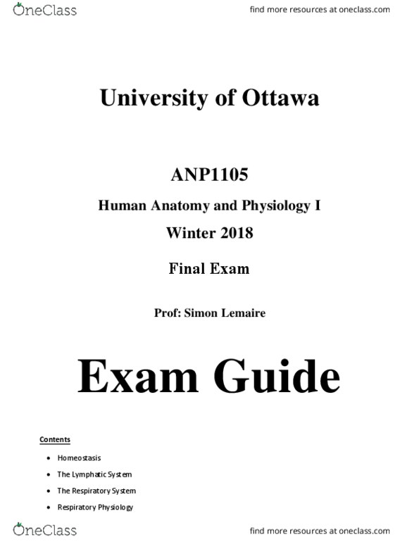 Anatomy And Physiology Final Exam Study Guide