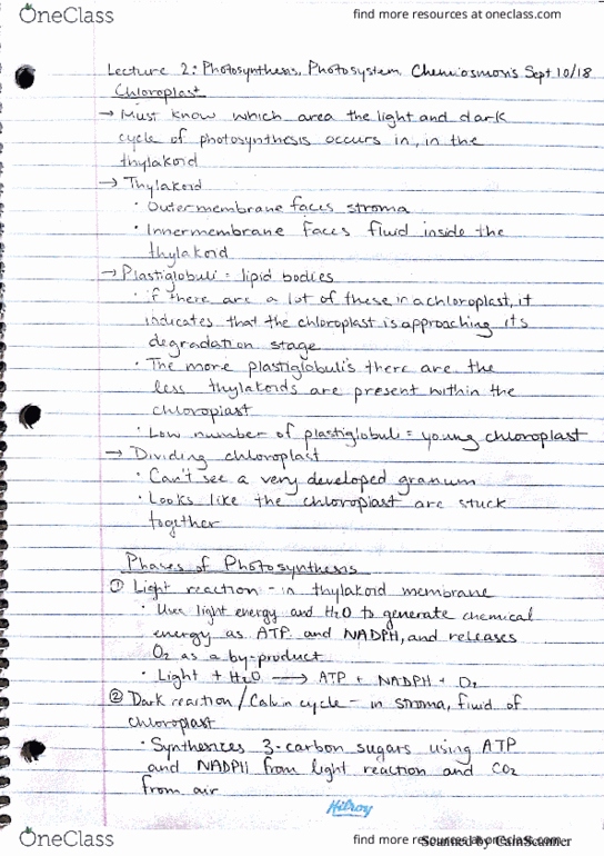 BIOL 4220 Lecture 2: Photosynthesis, Photosystems, Chemiosmosis thumbnail