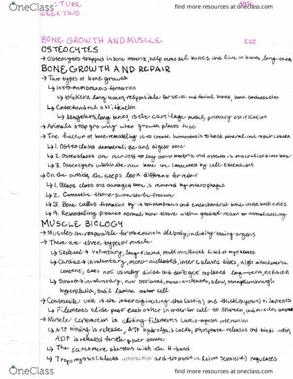 ANSC 222 Lecture Notes - Lecture 2: Eocene, Ofu-Olosega thumbnail