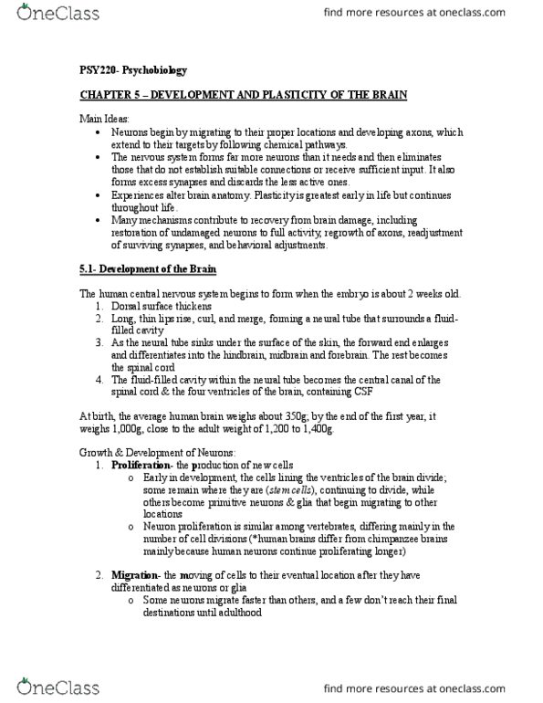 PSY 220 Chapter Notes - Chapter 5: Skeletal Muscle, Temporal Lobe, Neural Development thumbnail