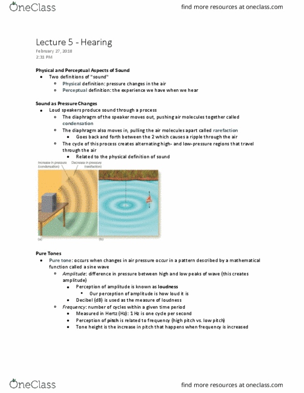 Psychology 2015A/B Lecture Notes - Lecture 6: Presbycusis, Rarefaction, Retina thumbnail