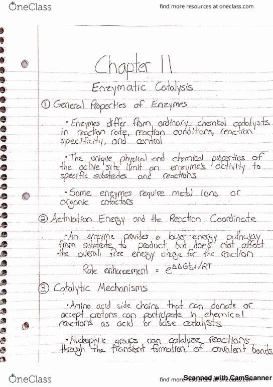 CHEM 251 Chapter 11: Enzymatic Catalysis thumbnail