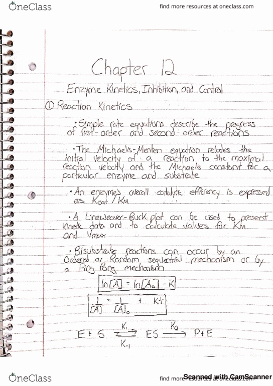 CHEM 251 Chapter 12: Enzyme Kinetics thumbnail