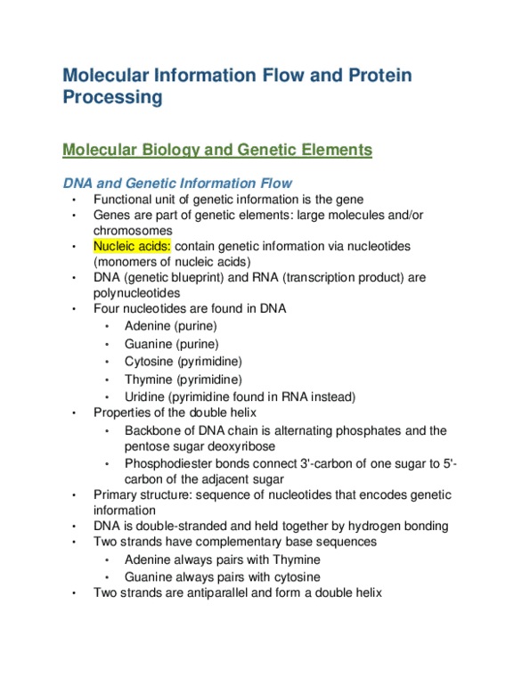 VTPB 405 Lecture 4: Chapter 4 - Molecular Information Flow and Protein Processing thumbnail