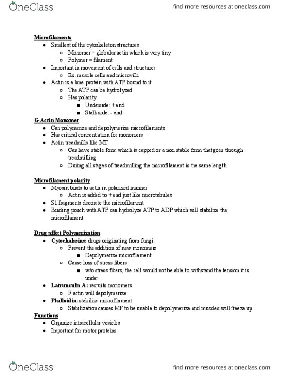 BIOL-4610 Lecture Notes - Lecture 3: Polymerization, Filamin, Dystrophin thumbnail