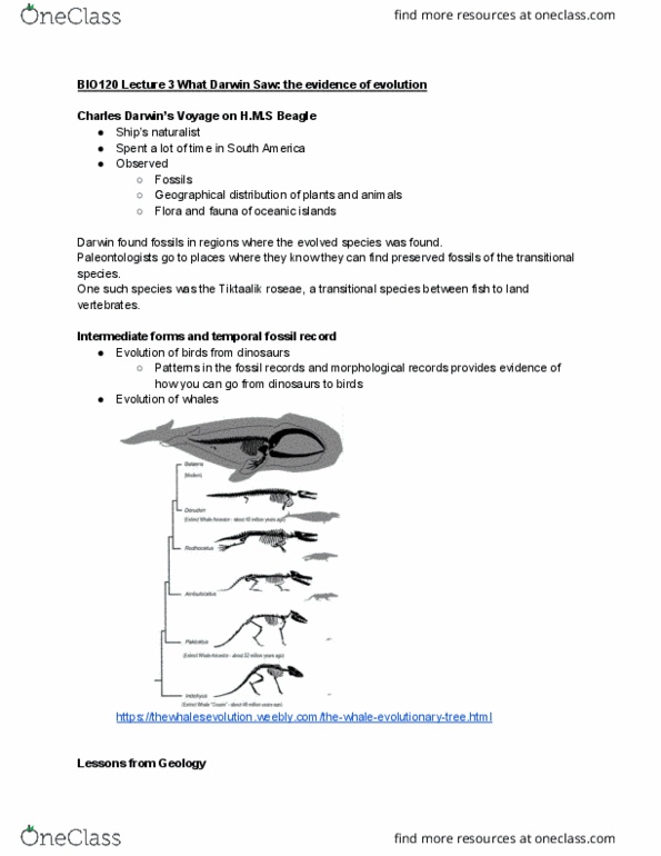 BIO120H1 Lecture Notes - Lecture 3: Adaptive Radiation, Endemism, Tiktaalik cover image