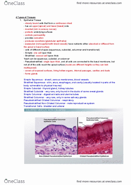 NURS 106 Lecture Notes - Lecture 6: Nephron, Pulmonary Pleurae, Major Trauma thumbnail