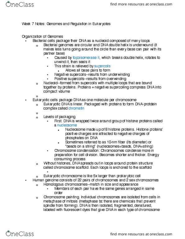 LIFESCI 7A Lecture Notes - Lecture 10: Inosine, Trypsin, Karyotype thumbnail