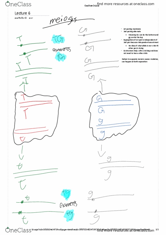 BIOL 344 Lecture Notes - Lecture 6: Microsoft Onenote thumbnail