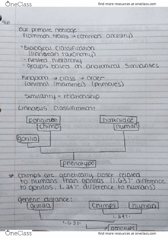 ANTH-A 107 Lecture 2: ANTH-A 107 - Lecture 2 thumbnail