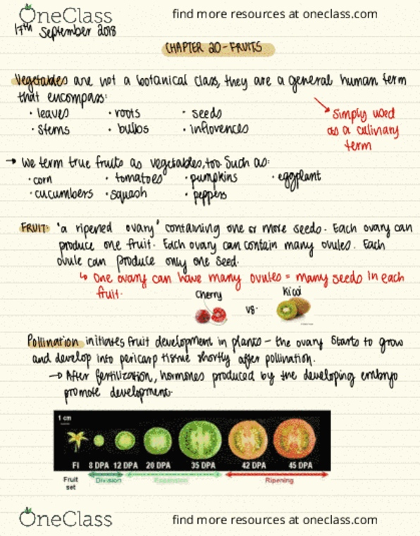 BIOL 2043 Lecture Notes - Lecture 4: Fruit Anatomy, Ovule, Pollination thumbnail