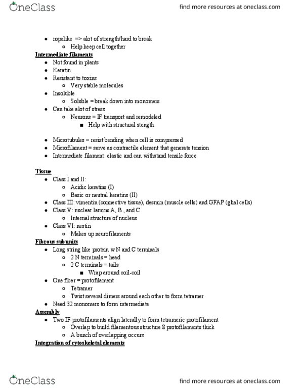 BIOL-4610 Lecture Notes - Lecture 4: Neuroglia, Lamin, Microtubule thumbnail