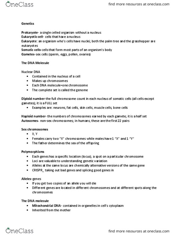 ANTH 18630 Lecture Notes - Lecture 3: Guanine, Sox9, Nuclear Dna thumbnail