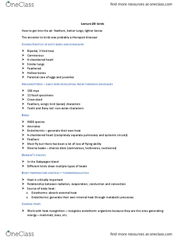 BIOL 111 Lecture Notes - Lecture 20: Thermoregulation, Keratin, Convergent Evolution thumbnail