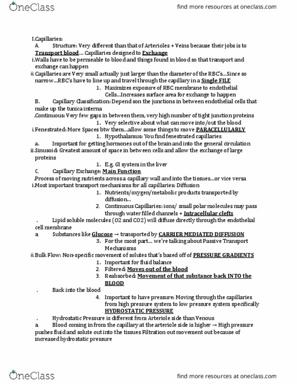 AH 2330 Lecture Notes - Lecture 26: Endothelium, Hypothalamus, Theca Interna thumbnail