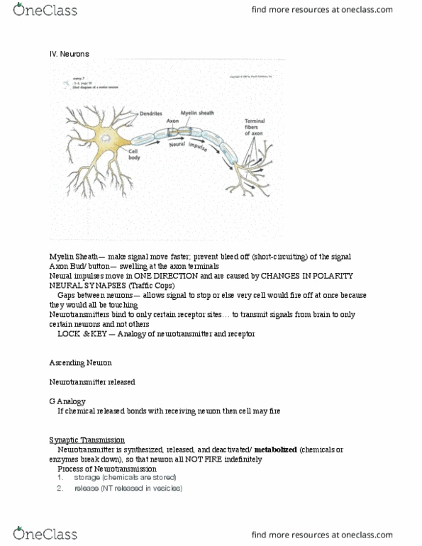 PSY 110 Lecture Notes - Lecture 4: Coevolution, Selective Serotonin Reuptake Inhibitor, Reuptake cover image