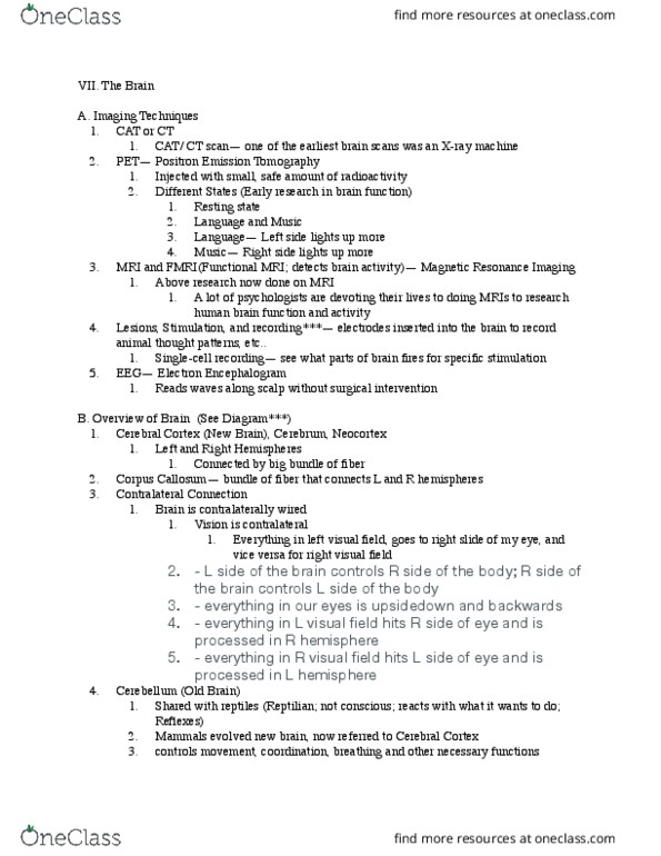 PSY 110 Lecture Notes - Lecture 7: Visual Cortex, Frontal Lobe, Central Processing Unit cover image