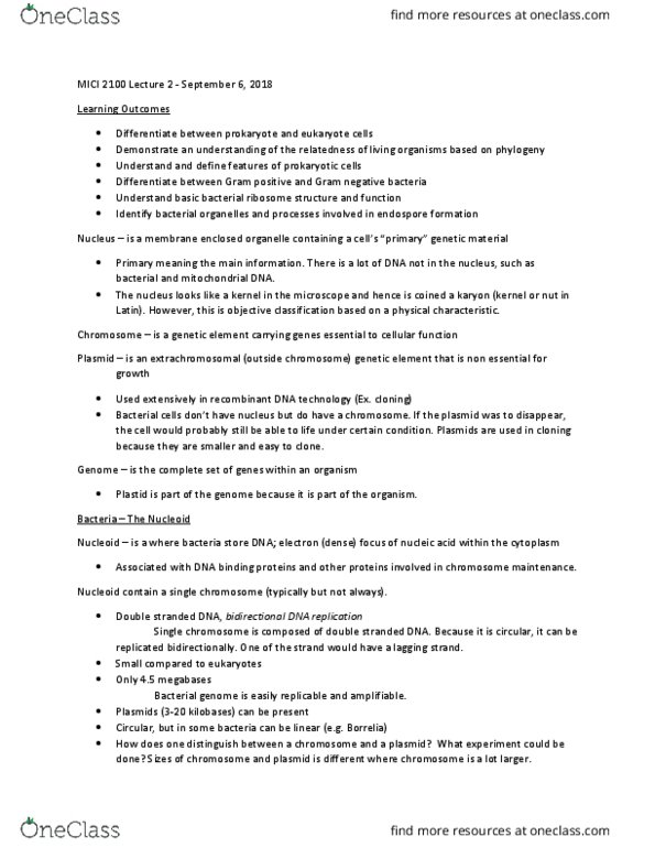 MICI 2100 Lecture Notes - Lecture 2: Bacterial Capsule, Nucleoid, Dominican Amber thumbnail