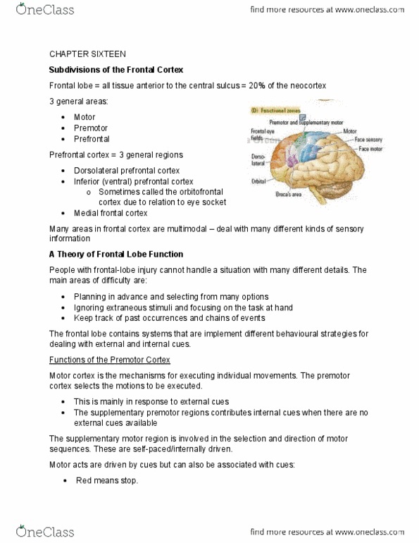 PSYB65H3 Chapter Notes -Supplementary Motor Area, Dorsolateral Prefrontal Cortex, Premotor Cortex thumbnail