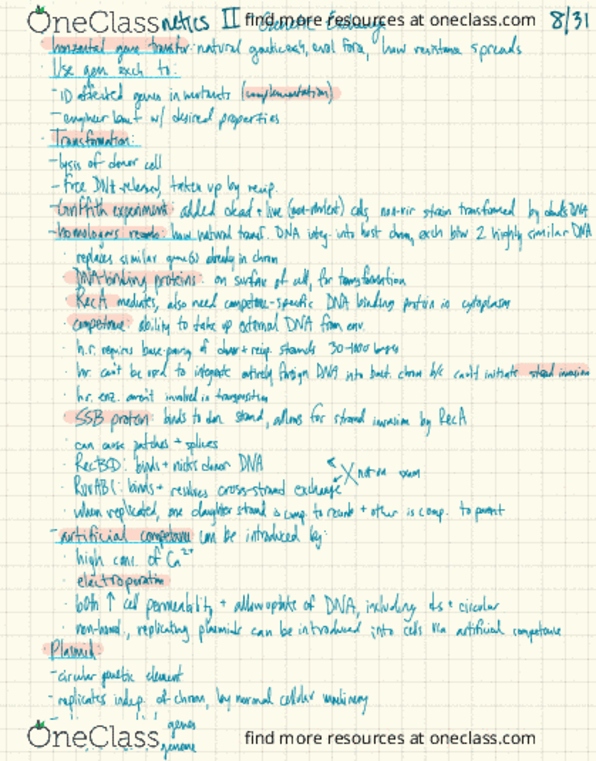 PLANTBI C112 Lecture Notes - Lecture 5: Reca, Plasmid, Lysis thumbnail