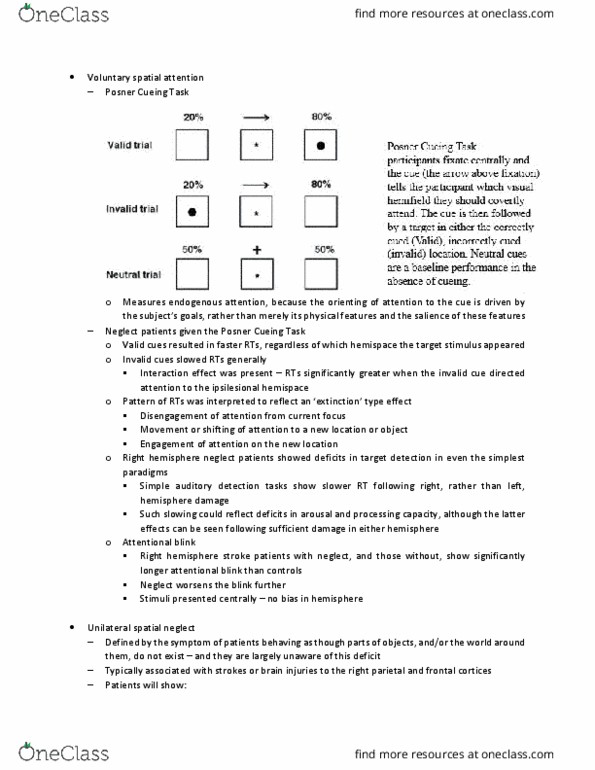 PSYC30018 Lecture Notes - Spring 2018 Lecture 21 - Angular gyrus, Contrast (vision), Superior temporal sulcus thumbnail