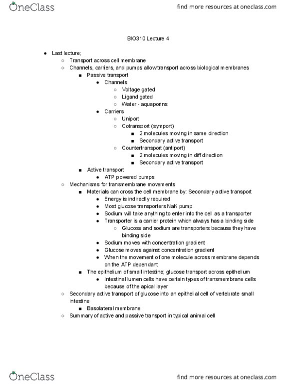 BIO310H5 Lecture 4: BIO310 Lecture 4 thumbnail