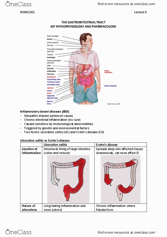 BIOM1060 Lecture Notes - Fall 2018 Lecture 9 - Azathioprine, Gut flora, Submucosa thumbnail