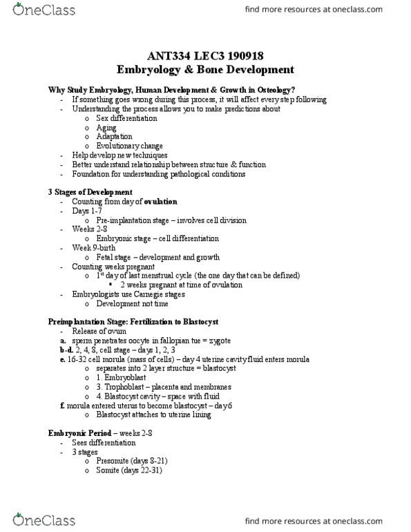 ANT334H5 Lecture Notes - Fall 2018 Lecture 3 - Neural plate, Endoderm, Periosteum thumbnail