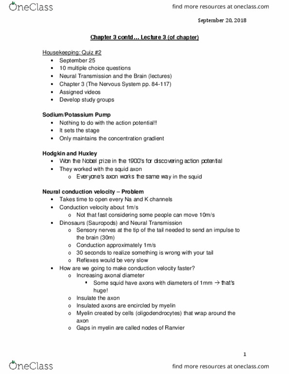 PSYO 1011 Lecture Notes - Fall 2018 Lecture 6 - Neurotransmitter, Nicotine, Acetylcholinesterase thumbnail