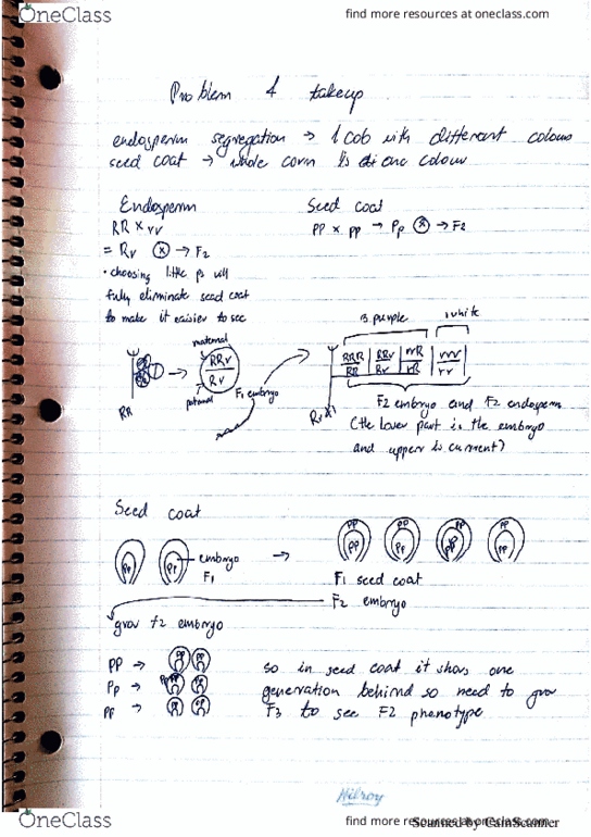 MBG 3100 Lecture 5: plant gen notes lecture 1-5 thumbnail