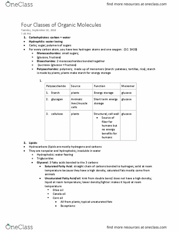 BIOL 208 Lecture Notes - Fall 2018 Lecture 6 - Cholesterol, Phospholipid, Canola thumbnail