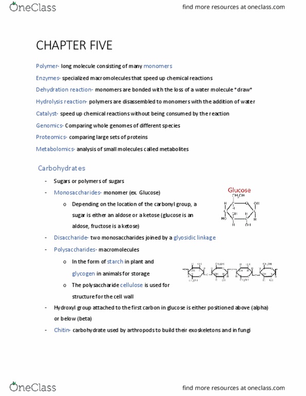 BIOL 102 Chapter Notes - Chapter 5: Ketose, Aldose, Dehydration Reaction thumbnail