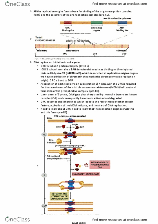 document preview image